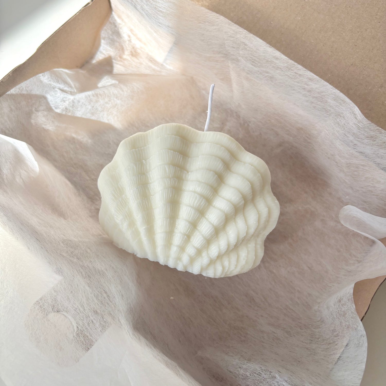 Muschelkerze - Smxragd - Kerzen und mehr